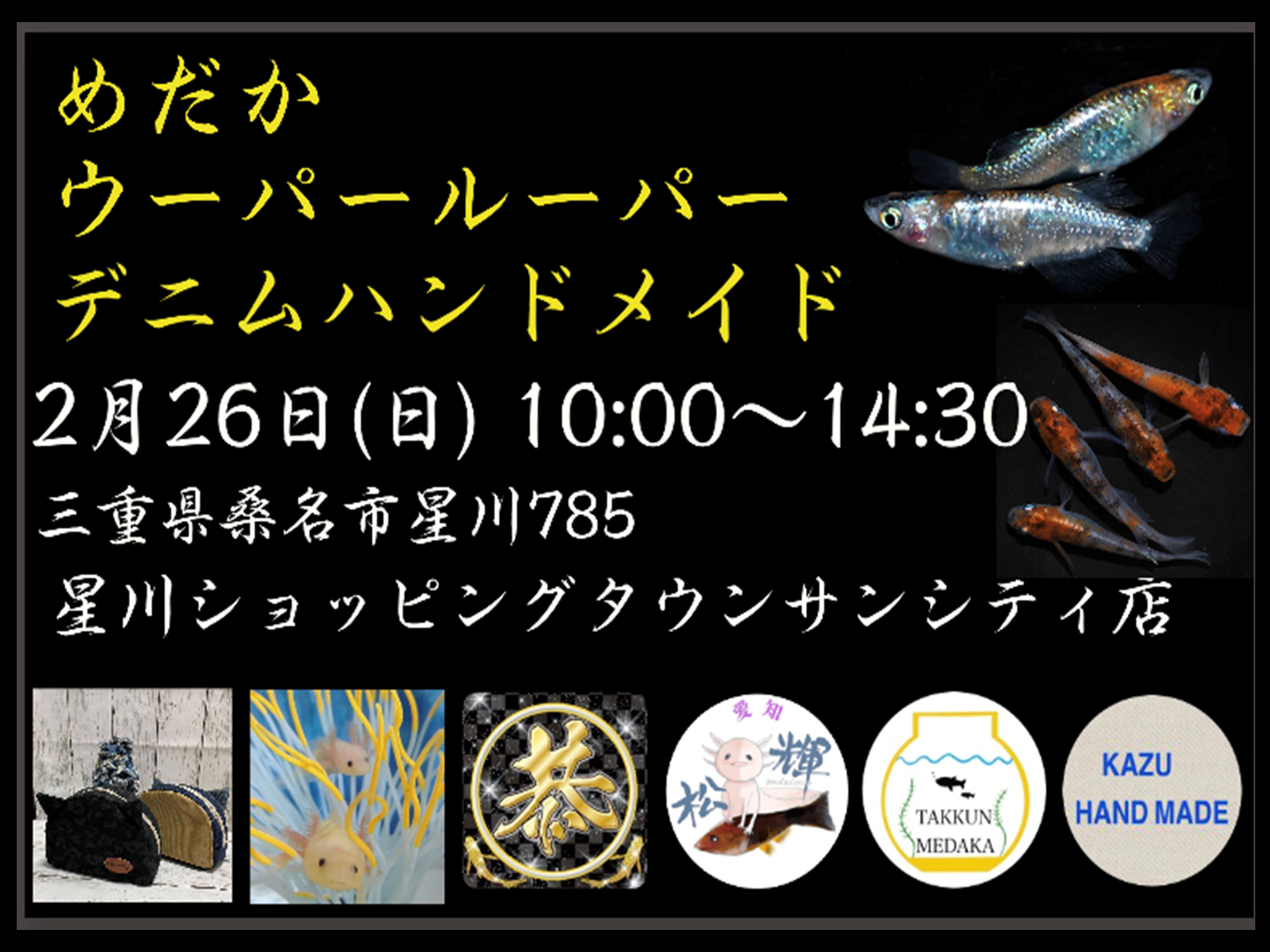 🐟「丸恭めだか」メダカ販売会 - サンシティ